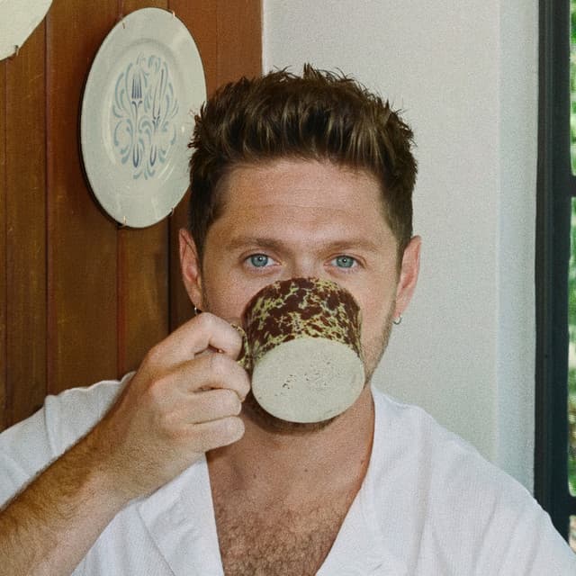 Niall Horan: Dinner Party Live On Tour