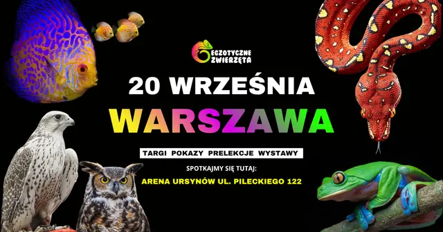 WARSZAWA 20 WRZEŚNIA - EGZOTYCZNE ZWIERZĘTA - TERRARYSTYKA AKWARYSTYKA BOTANIKA i wiele więcej