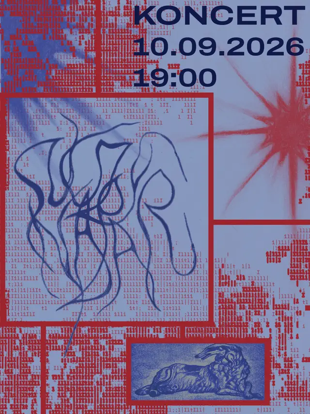 Koncert zespołu Suczy Napar