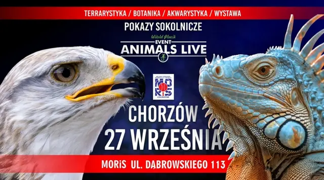 Animals Live CHORZÓW 27 Września 2026 - Terrarystyka & Sokolnicy & Akwarystyka & Botanika